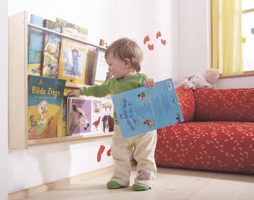 Verspilling Ervaren persoon Aanwezigheid Boekenrek - wandboekenrek -2 vakken - Hageland