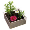 Kunststofboxen 8x4x8 cm, 8 stuks