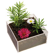 Kunststofboxen 8x4x8 cm, 8 stuks