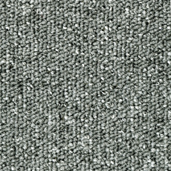 Vloerkleed - Bouwtapijt - Lusgeweven - Platinagrijs - Diameter 200 Cm