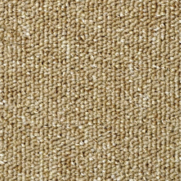 Vloerkleed - Bouwtapijt - Lusgeweven - Zandbeige - 300x200 Cm