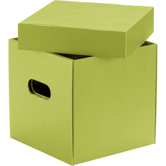 Kartonnen Dozen Groen