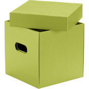 Kartonnen dozen groen