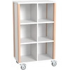 Middelhoge kasten - kast met planken en tussenwand - open - smal - hoogte 131,8 cm