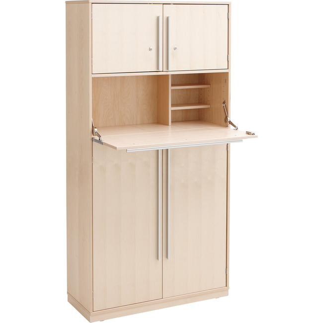 Kast Met Werkplek Fineer