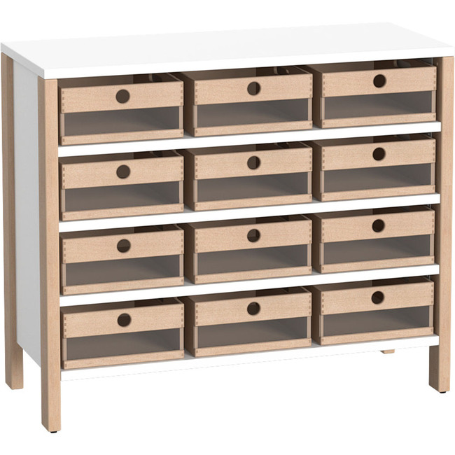 Kast Met 12 Acryl-materiaalbakken