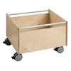 Rolbak, onbehandeld