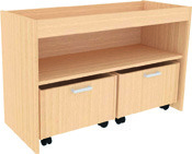 Kast met planken en rolwagens MET SPIEGEL