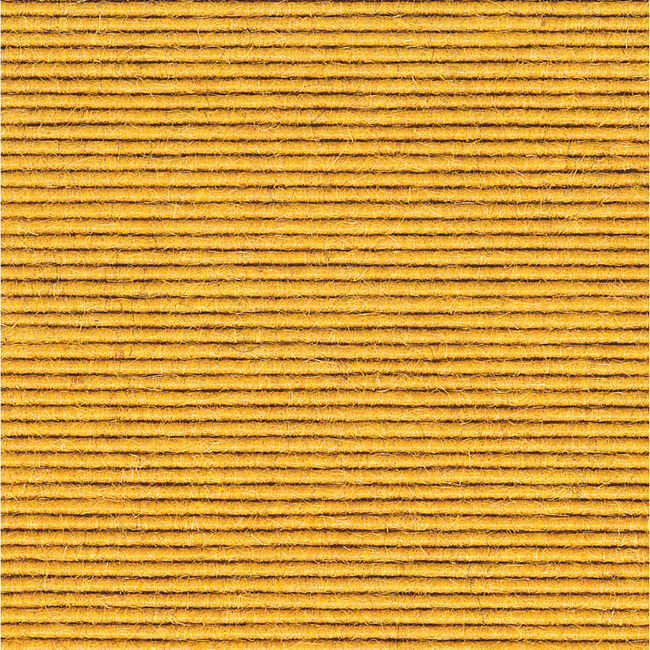 Tretford-tapijten Zonder Zoom 2 X 3m
