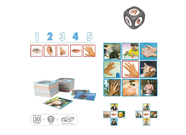 Spel - Akros The 5 Senses - De 5 Zintuigen - Per Spel