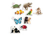 Puzzel - Akros Baby Puzzles Animals - silhouette - gezonde voeding - set van 9