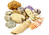 Loose parts - Papoose - beach set - set van 14