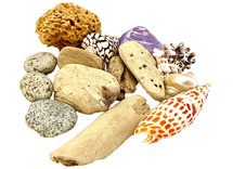 Loose parts - Papoose - beach set - set van 14