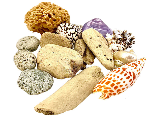 Loose Parts - Papoose - Beach Set - Set Van 14