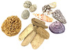 Loose parts - Papoose - beach set - set van 14