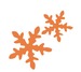 Sneeuwvlok