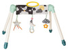 Babygym - Taf Toys - mini moon take to play - gym met speeltjes