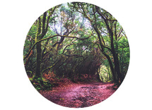 Lichttafel - tickit - speelmat - discovery mat - forest - per stuk