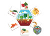 Spel - Akros Where Does Food Come From? - waar komt onze voeding vandaan? - wereldoriëntatie - per spel