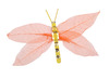Decoratiemateriaal - natuurlijke materialen - gekleurde transparante blaadjes - 20 st