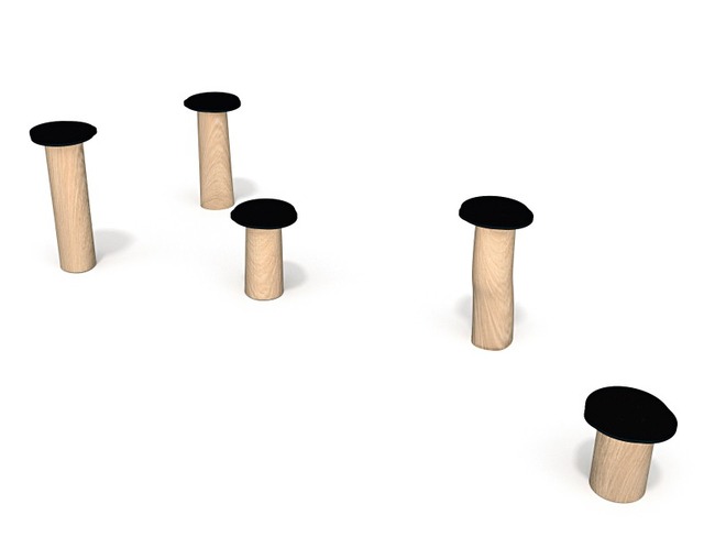 Robinia - Evenwichtsparcours - Stapvoetjes