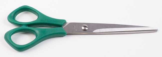 Schaar - Scherpe Punt - 16 Cm - Klasset - 24 Stuk
