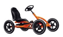 Fiets-go-car-berg