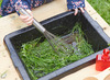Outdoor - modderkeuken xl