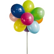 Ballonnen - Ster Voor Ballonnentros