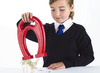 Magneten - Shaw Magnets Giant Horseshoe Magnet - magnetisme - per stuk