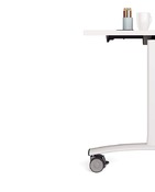Frame zwart+chroom - blad wit