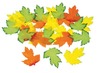 Figuren - bladeren - herfst - set van 200 assorti