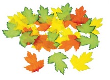 Figuren - bladeren - herfst - set van 200 assorti