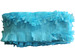 Blauw licht