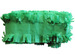 Groen licht