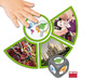 Spel - Akros Discover The Continents Of The World! - ontdek de continenten! - wereldorientatie - per spel