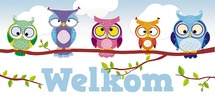Welkomskaarten - uiltjes 25st. - per stuk