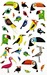 Paradijsvogels