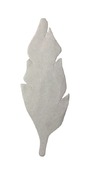 Crea-Papier - Kleurabsorberend - Veren 80St