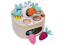 Kleur en vorm - Topbright - match & sorteer wortels - Montessori - per stuk