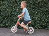 Loopfiets - Tryco - Rocky Stonegreen Balance Bike - per stuk