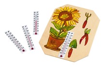 Thermometers - Set/10