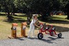Fietsen - tankstation