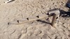 Schuine balanceerboom met treden