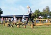 Stappaaltjes