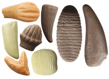 Ontdekken - Yellow Door - Let’s Investigate – Prehistoric Teeth - prehistorische tanden - steenmix - 10,5 cm - set van 8