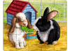 Puzzel - 12,15,18 - Huisdieren