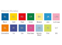 Mat-Speelmat-240X200X3 Cm-Mundial