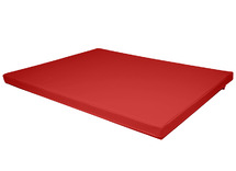 Verzorgingskussen - 101X77X5Cm - Mundial - rood - per stuk