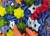 Ontdekken - Lakeshore Learning - sensorische boxen - set van 3
